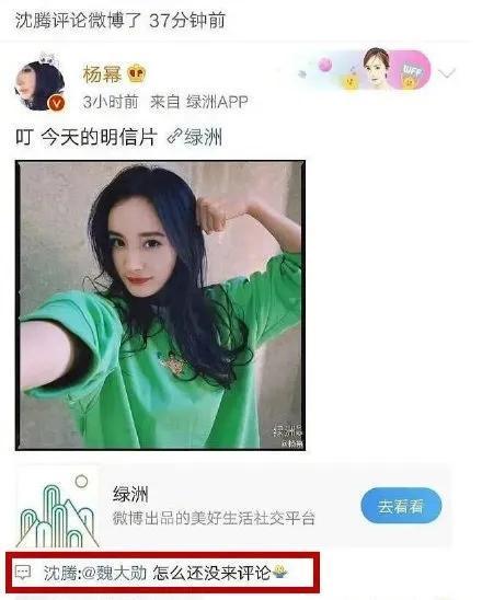 娱乐圈吃瓜小程序是什么,揭秘明星幕后故事,一键掌握娱乐资讯! 第3张 娱乐圈吃瓜小程序是什么,揭秘明星幕后故事,一键掌握娱乐资讯! 第3张