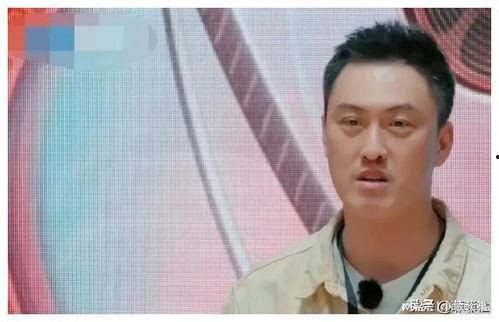 娱乐圈吃瓜爆料惊爆,重磅爆料揭秘幕后真相！  第2张