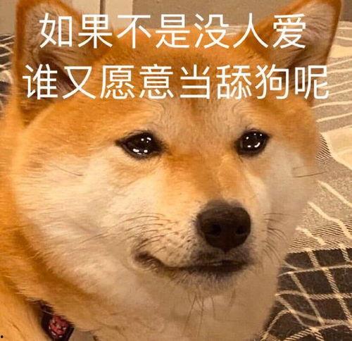 娱乐吃瓜酱舔狗  第3张